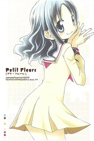 HeartCatch PreCure! - Petit Fleurs (Doujinshi)